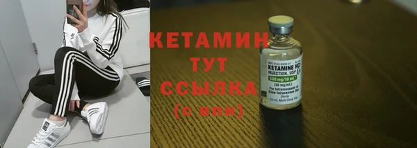 прущие грибы Карпинск