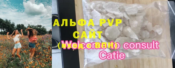 шишки Касимов